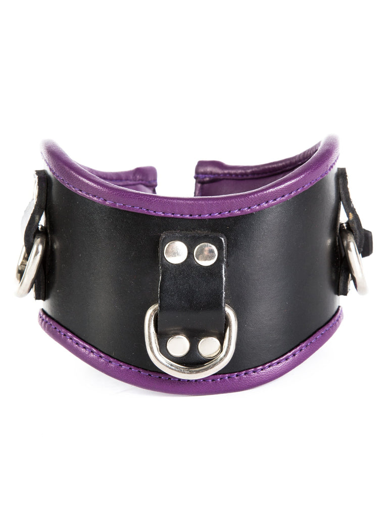 Skin Two UK Black & Purple Leather Posture Collar Collar